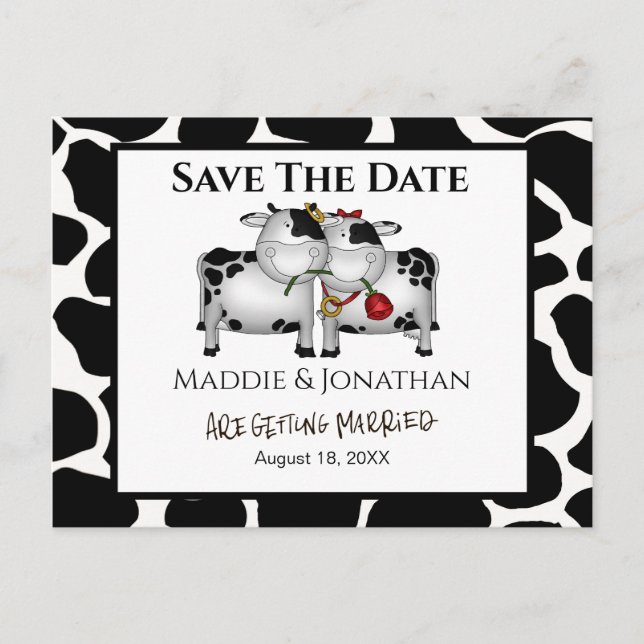 Fun Wedding Cows Save the Date Postkarte (Vorderseite)