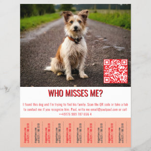 Fundhund-Vorlage Tippen  Flyer