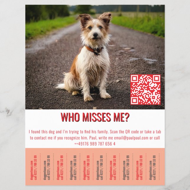 Fundhund-Vorlage Tippen  Flyer (Vorne)