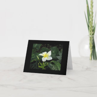 "Fünf Blumenblatt-" Anmerkungs-Karte Karte