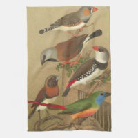 Fünf bunte Tier-Vögel auf einem Zweig