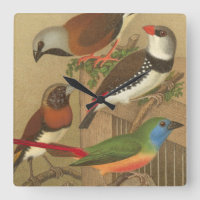 Fünf bunte Tier-Vögel auf einem Zweig