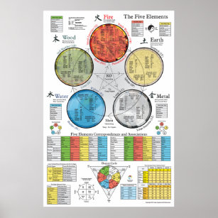 Fünf Elemente Akupunktionspaket Poster