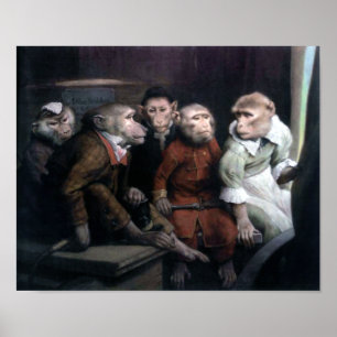 Fünf Extravagante Affen Poster