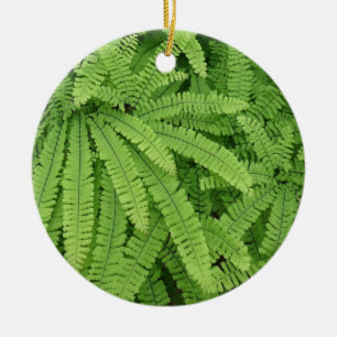 Fünf-Finger-Frauenhaarfarn Keramik Ornament