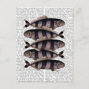 Fünf gestreifte Fische Postkarte
