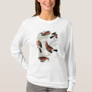 Fünf Jay, vom Vallardi Album T-Shirt