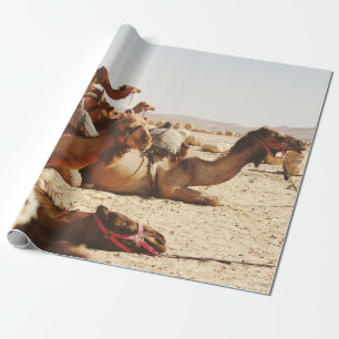 FÜNF KAMEL AUF FELD GESCHENKPAPIER