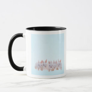 Fünf Kaninchen Tasse