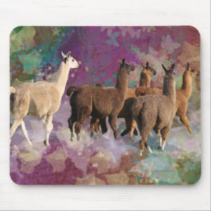 Fünf Lama-Wolken-Weg-Fantasie-Weiß u. Brown-Lama Mousepad