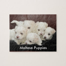 Fünf maltesische Welpen auf einem Puzzlespiel Puzzle