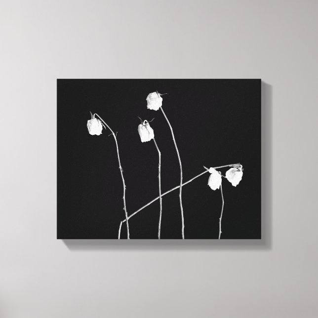 Fünf Rose Leinwanddruck (Vorderseite)