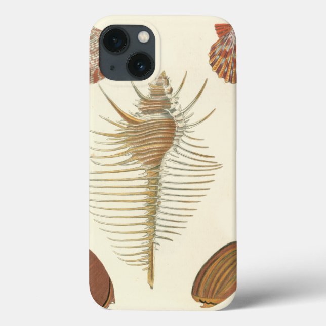 Fünf von einer Art Seashells Case-Mate iPhone Hülle (Rückseite)