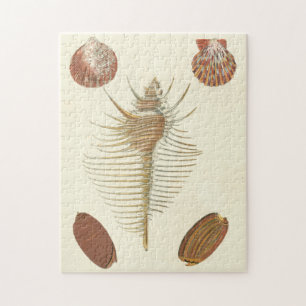 Fünf von einer Art Seashells Puzzle