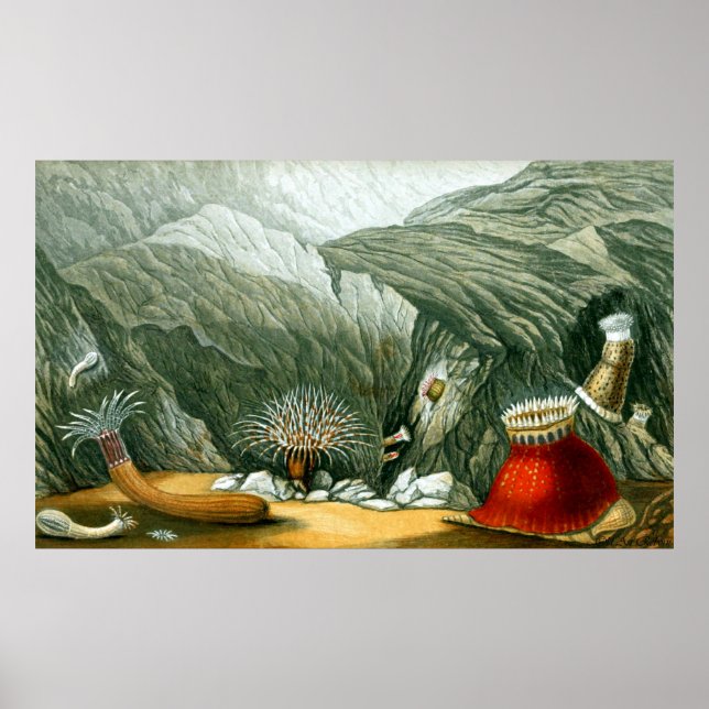 Fünf von zehn poster (Vorne)