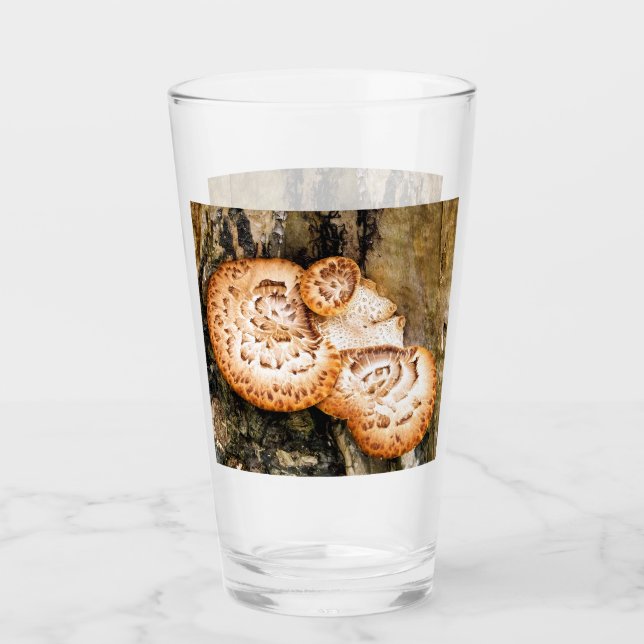 FUNGI GLAS (Vorderseite)
