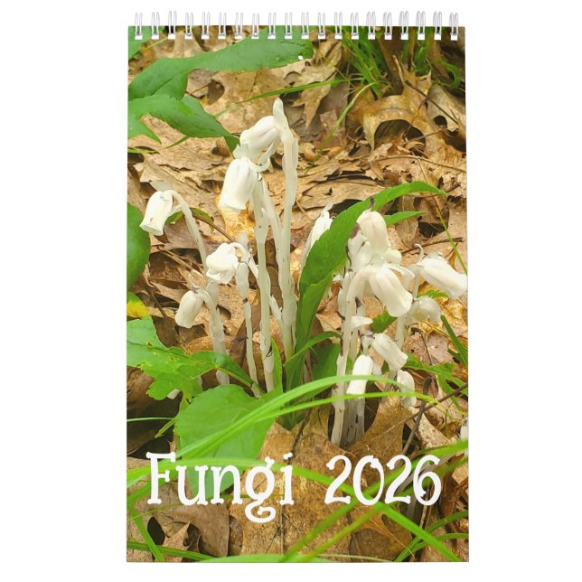 Fungi-Kalender 2026 Kalender (Titelbild)