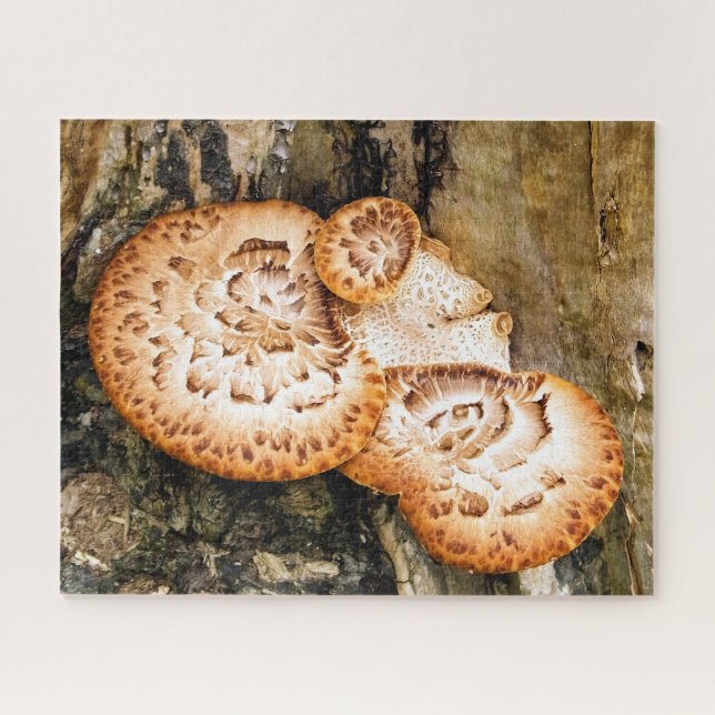 FUNGI PUZZLE (Horizontal)