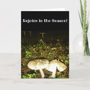 "Fungshrooms" Osternkarte Karte