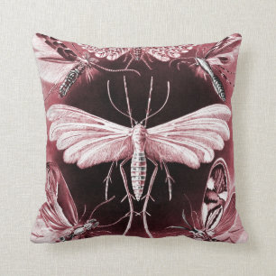 Fungus Moths in weichem Rosa Kissen