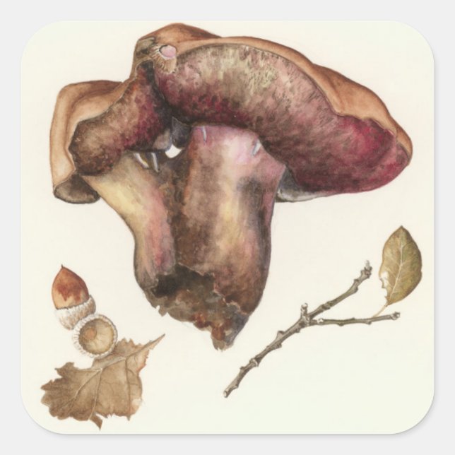 Fungus Quadratischer Aufkleber (Vorderseite)