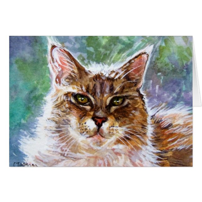 Funkeln die Katze (Vorderseite (Horizontal))