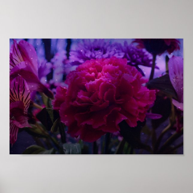 Funkelnd Narbe Poster (Vorne)