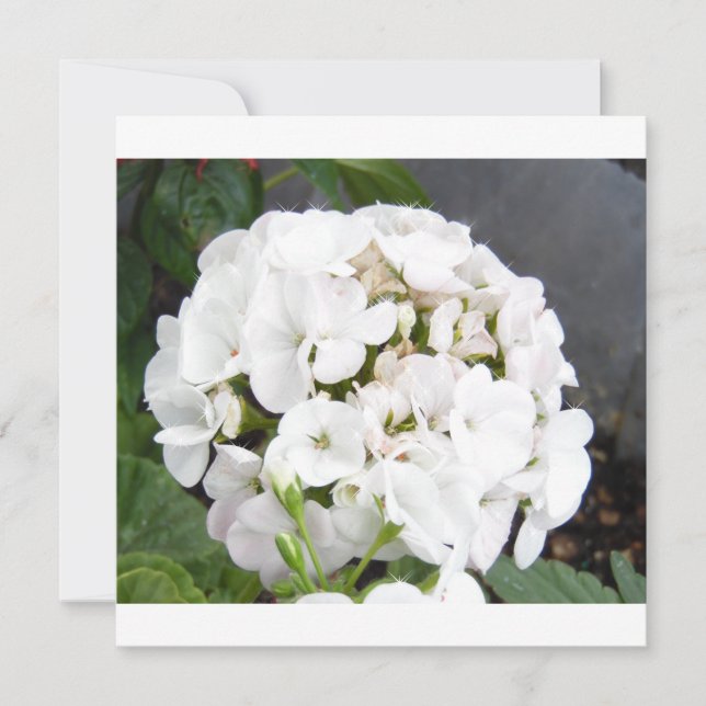 funkelnde weiße Blume Hochzeit Save The Date (Vorderseite)