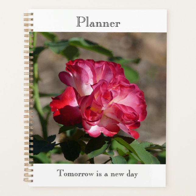 Funkelnder Rosenplaner Planer (Vorderseite)