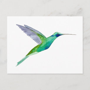Funkelnder Veilchenohrkolibri Postkarte
