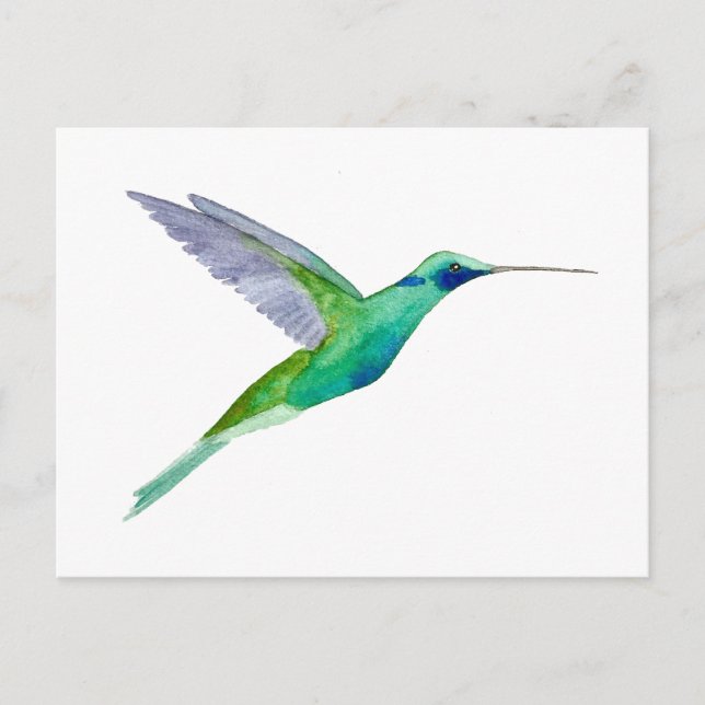 Funkelnder Veilchenohrkolibri Postkarte (Vorderseite)