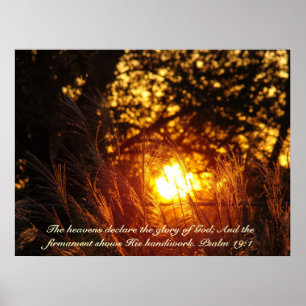 Funkelndes Gras-Sonnenuntergangplakat Poster