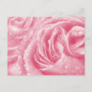 Funkelrosa Postkarte