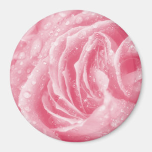 Funkelrosa Rose Magnet