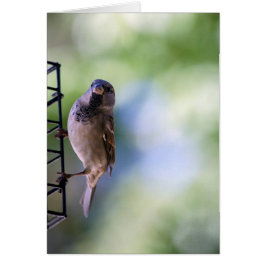 Funkmoment für mich