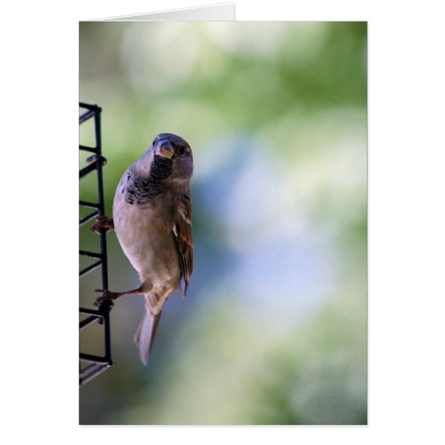 Funkmoment für mich (Vorne)