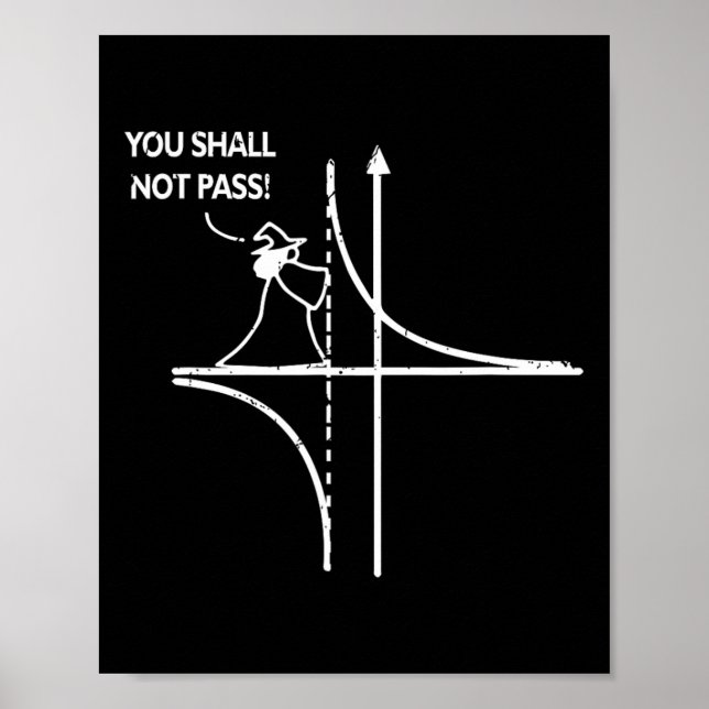 Funktionsasymptote Geek Mathe Pun Lehrer Du sollst Poster (Vorne)