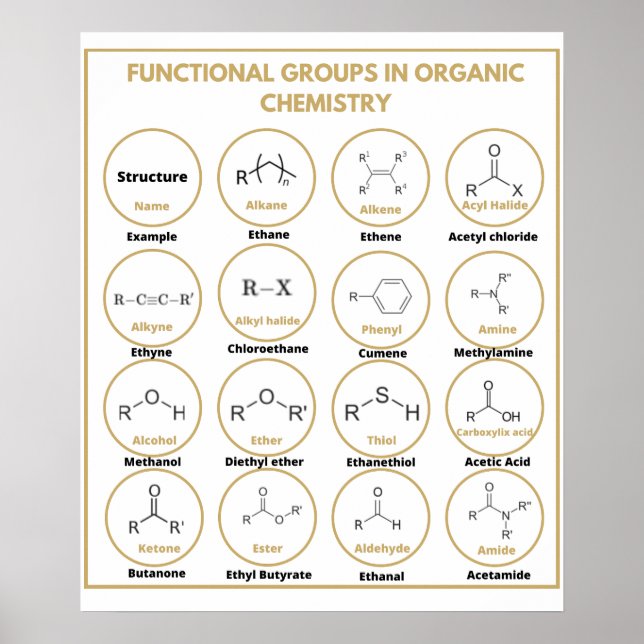 Funktionsgruppen der Chemie Poster (Vorne)