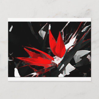 Funky Bird of Paradise Postkarte