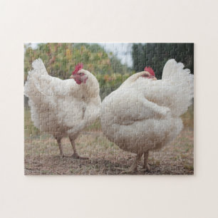 Funky Chicken Hen Hy Line Silver Brown Puzzle