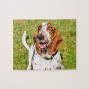 Funky Dog Basset Hound Puzzle