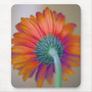 Funky Gerbera Mousepad