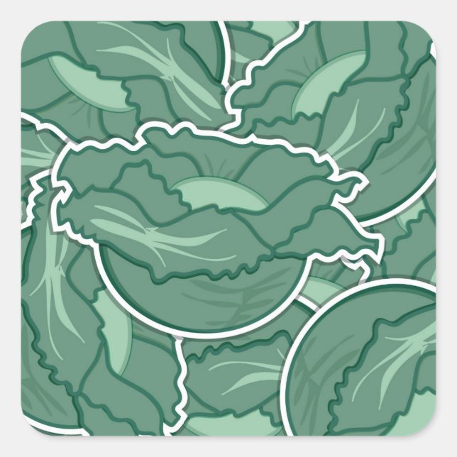 Funky green cabbage quadratischer aufkleber (Vorderseite)