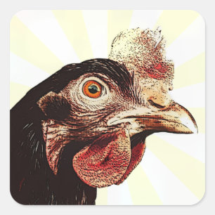 Funky Grumpy Chicken Superstar Quadratischer Aufkleber