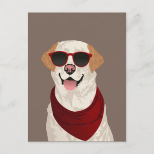 Funky Labrador Retriever for Dog Lovers Postkarte