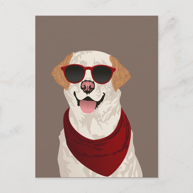 Funky Labrador Retriever for Dog Lovers Postkarte (Vorderseite)