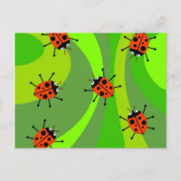 Funky Ladybugs