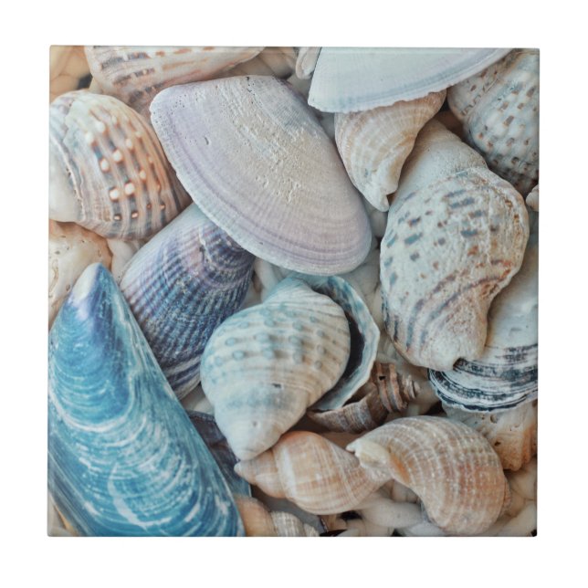 Funky Muscheln Holiday Seaside Fliese (Vorderseite)