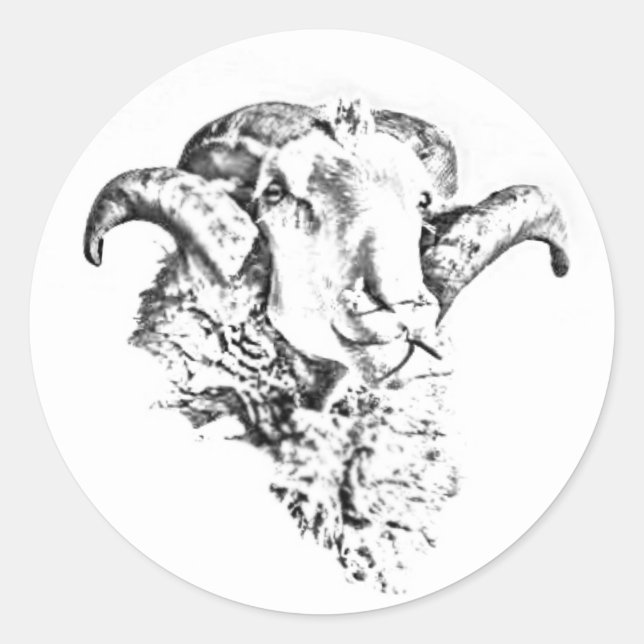Funky Niedlich Sheep Ram Head Sketch Runder Aufkleber (Vorderseite)
