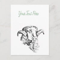 Funky Niedlich Sheep Ram